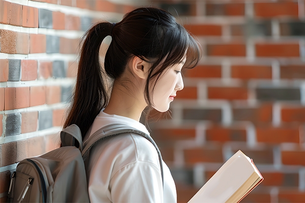 2025武汉晴川学院在四川招生计划预测