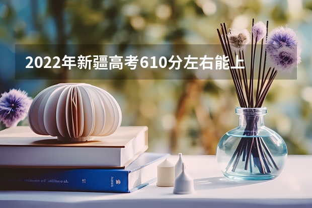 2022年新疆高考610分左右能上什么样的大学