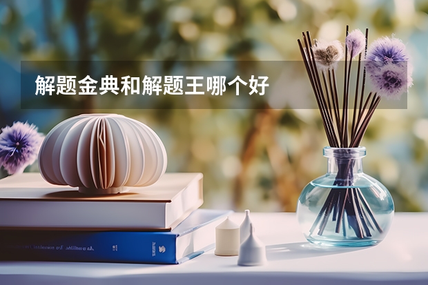解题金典和解题王哪个好