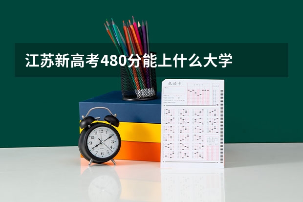 江苏新高考480分能上什么大学
