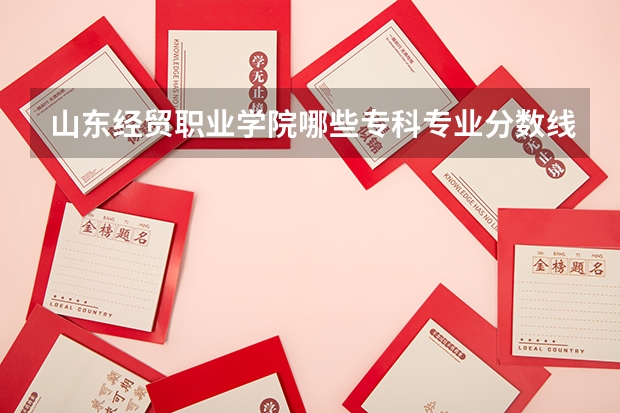 山东经贸职业学院哪些专科专业分数线最低