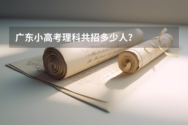 广东小高考理科共招多少人？