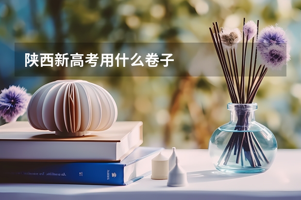 陕西新高考用什么卷子