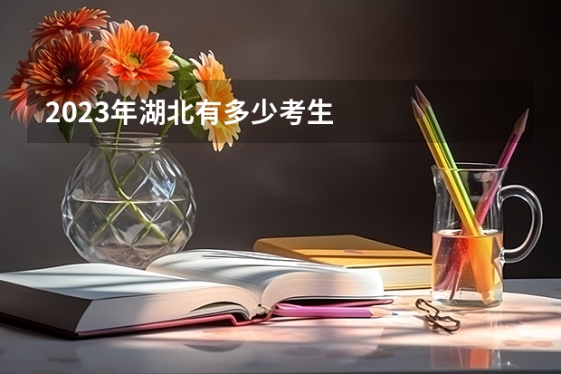 2023年湖北有多少考生