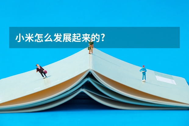 小米怎么发展起来的?