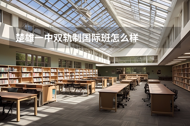 楚雄一中双轨制国际班怎么样