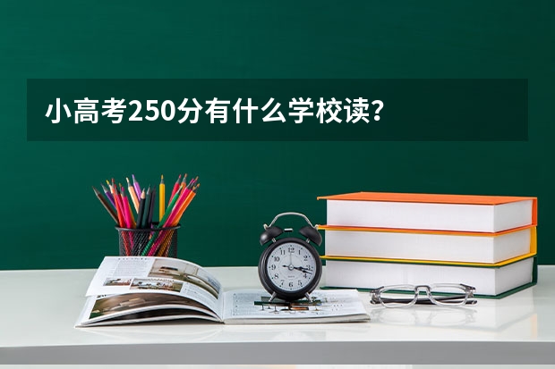 小高考250分有什么学校读？