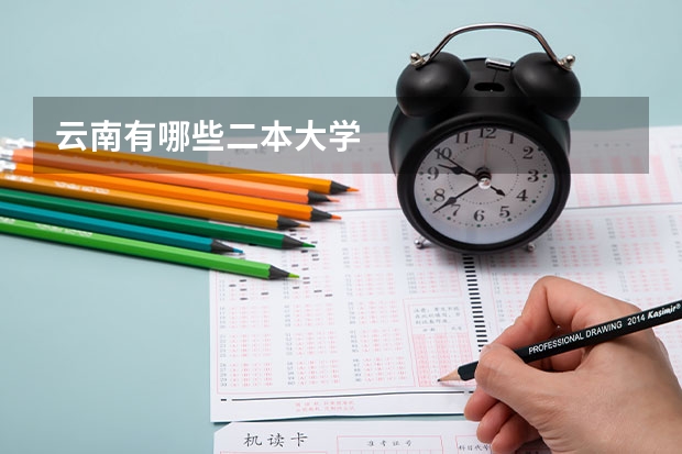 云南有哪些二本大学