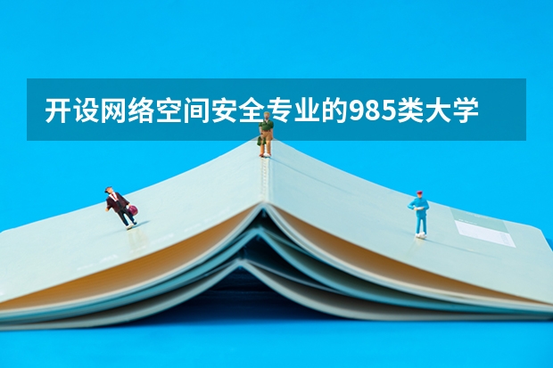 开设网络空间安全专业的985类大学有哪些