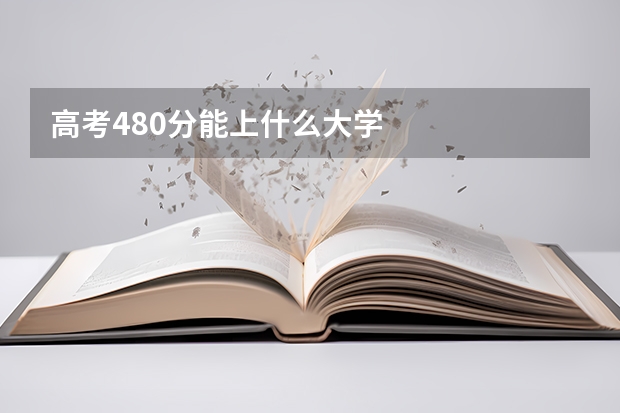 高考480分能上什么大学