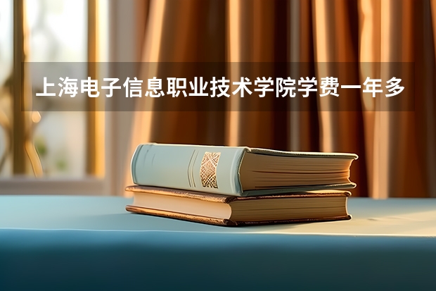 上海电子信息职业技术学院学费一年多少钱