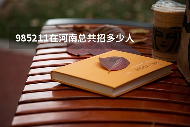 985211在河南总共招多少人