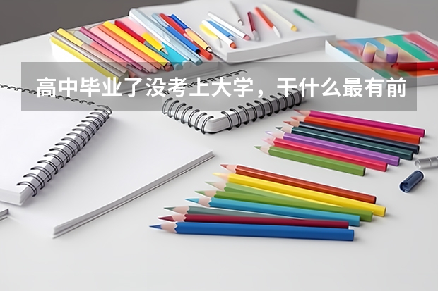 高中毕业了没考上大学，干什么最有前途？