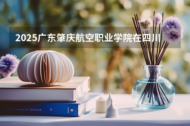 2025广东肇庆航空职业学院在四川招生计划预测
