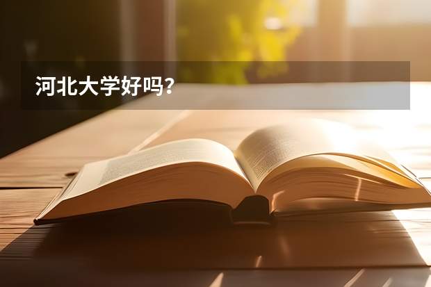 河北大学好吗？