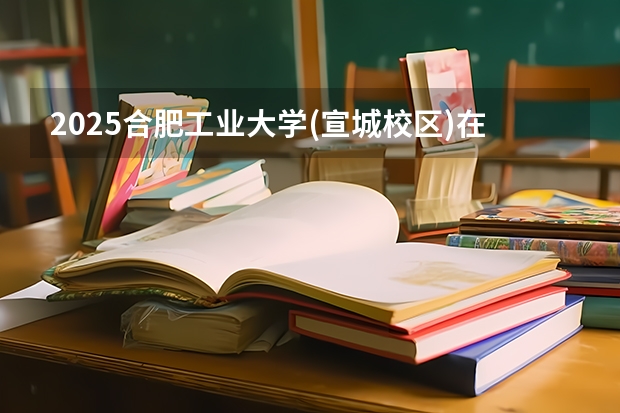 2025合肥工业大学(宣城校区)在河南招生计划人数