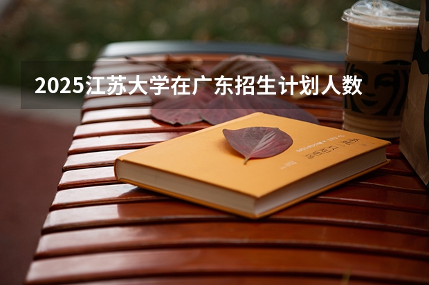 2025江苏大学在广东招生计划人数