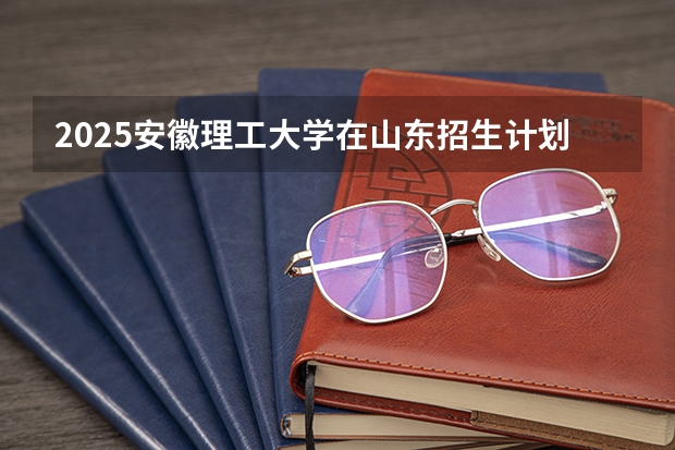 2025安徽理工大学在山东招生计划人数