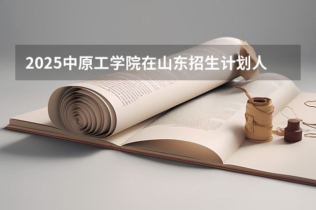 2025中原工学院在山东招生计划人数