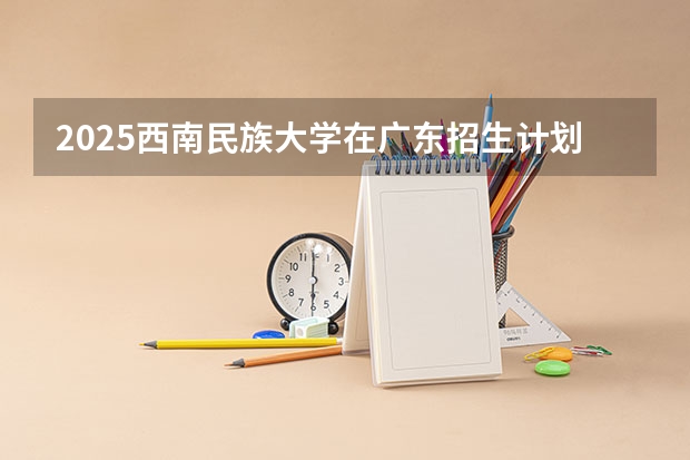 2025西南民族大学在广东招生计划人数