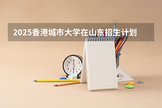 2025香港城市大学在山东招生计划人数