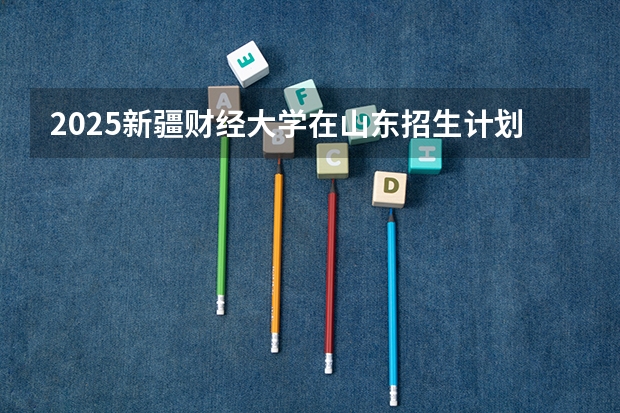 2025新疆财经大学在山东招生计划人数