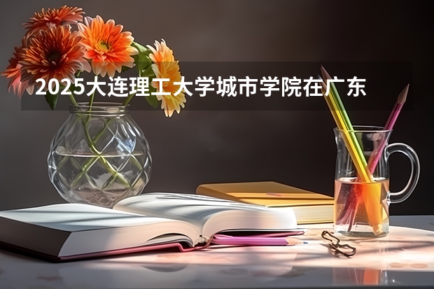2025大连理工大学城市学院在广东招生计划人数