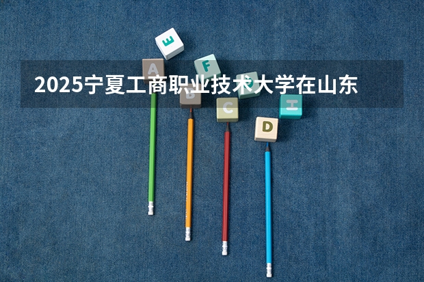 2025宁夏工商职业技术大学在山东招生计划人数