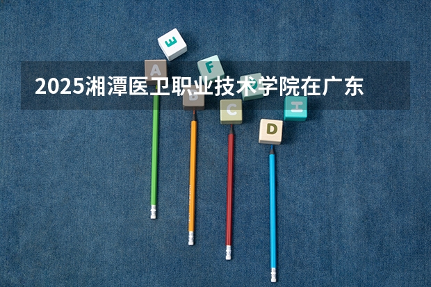 2025湘潭医卫职业技术学院在广东招生计划人数