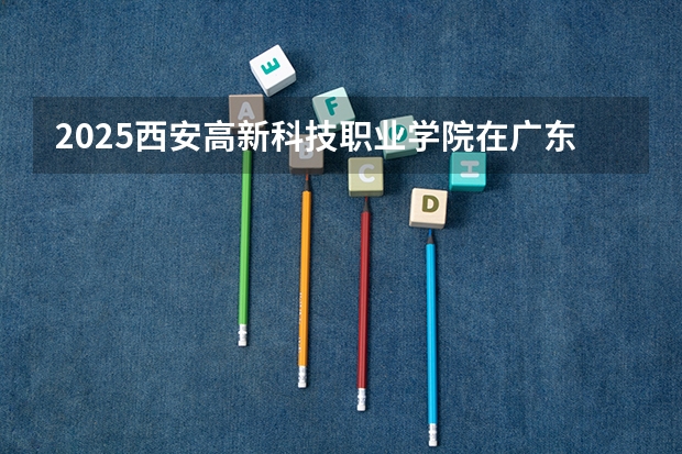 2025西安高新科技职业学院在广东招生计划人数