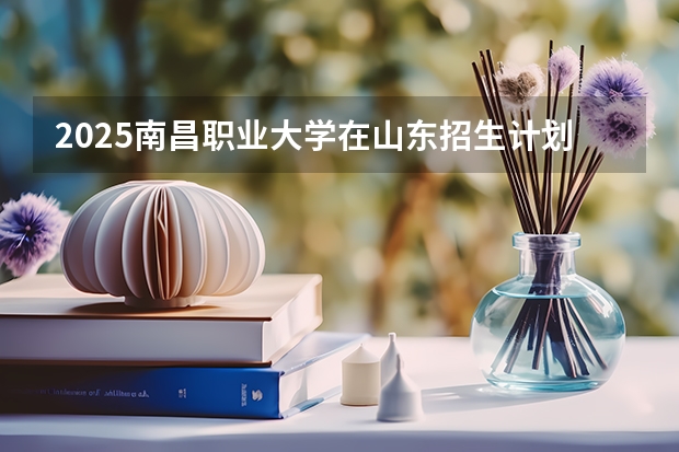 2025南昌职业大学在山东招生计划人数
