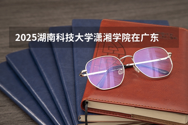 2025湖南科技大学潇湘学院在广东招生计划人数