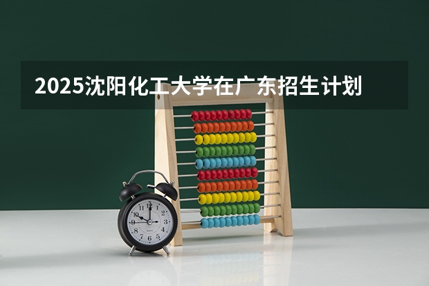 2025沈阳化工大学在广东招生计划人数