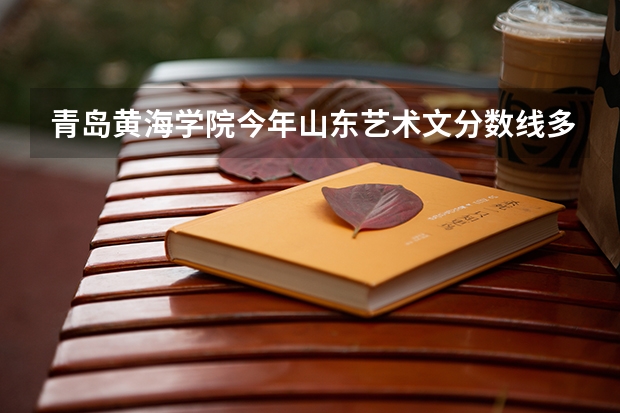 青岛黄海学院今年山东艺术文分数线多少阿