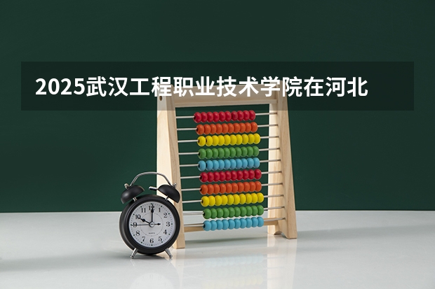 2025武汉工程职业技术学院在河北招生计划人数