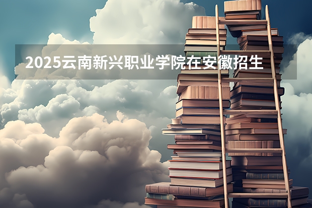 2025云南新兴职业学院在安徽招生计划人数