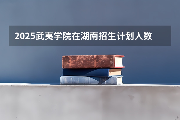 2025武夷学院在湖南招生计划人数