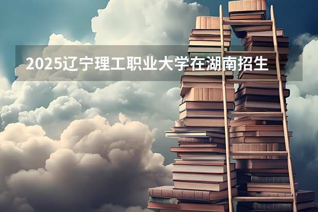 2025辽宁理工职业大学在湖南招生计划人数