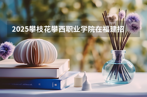 2025攀枝花攀西职业学院在福建招生计划人数