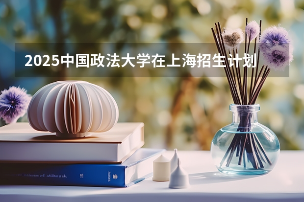 2025中国政法大学在上海招生计划人数