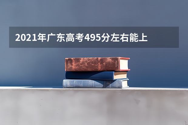 2021年广东高考495分左右能上什么样的大学